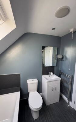 grey painted small bathroom