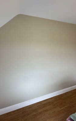 Sage painted bedroom walls